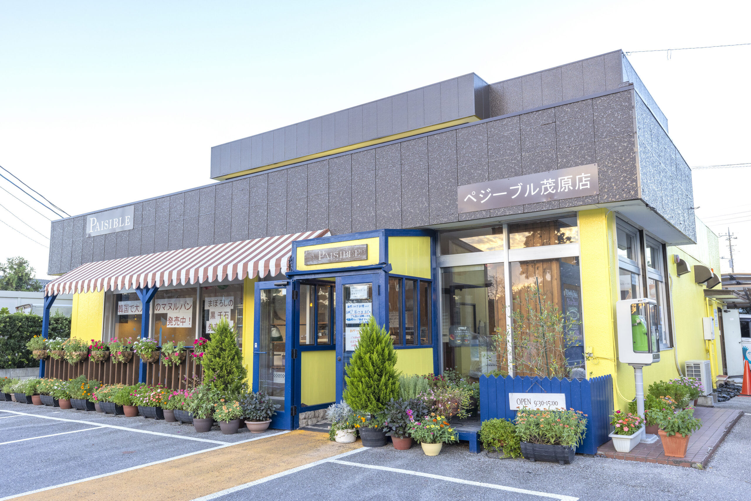 ワークショップ茂原