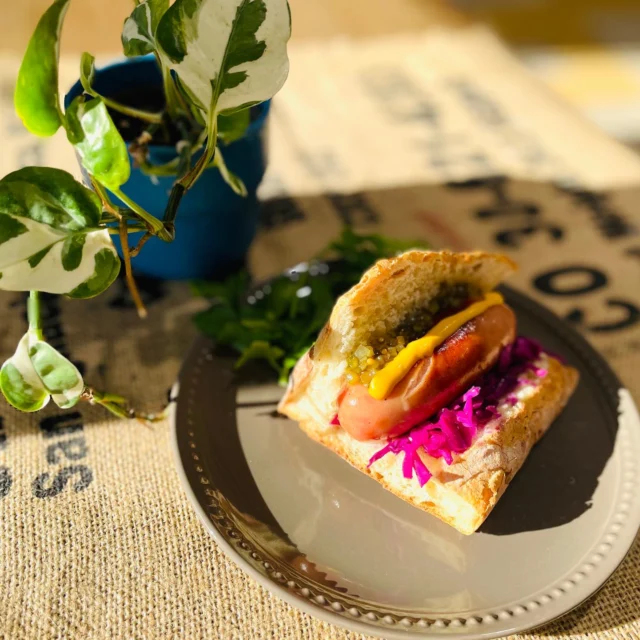 2/2（月）より新商品ホットドッグ販売開始します！
「ペジーブル」の食べ応えのあるバタールに大ぶりのジューシーソーセージと色鮮やかな酢漬けの赤キャベツを挟んだ満腹サンドです。
是非お試しください♪

#ラコルタ柏 #ペジーブル柏 #ホットドッグ #房総ジビエ