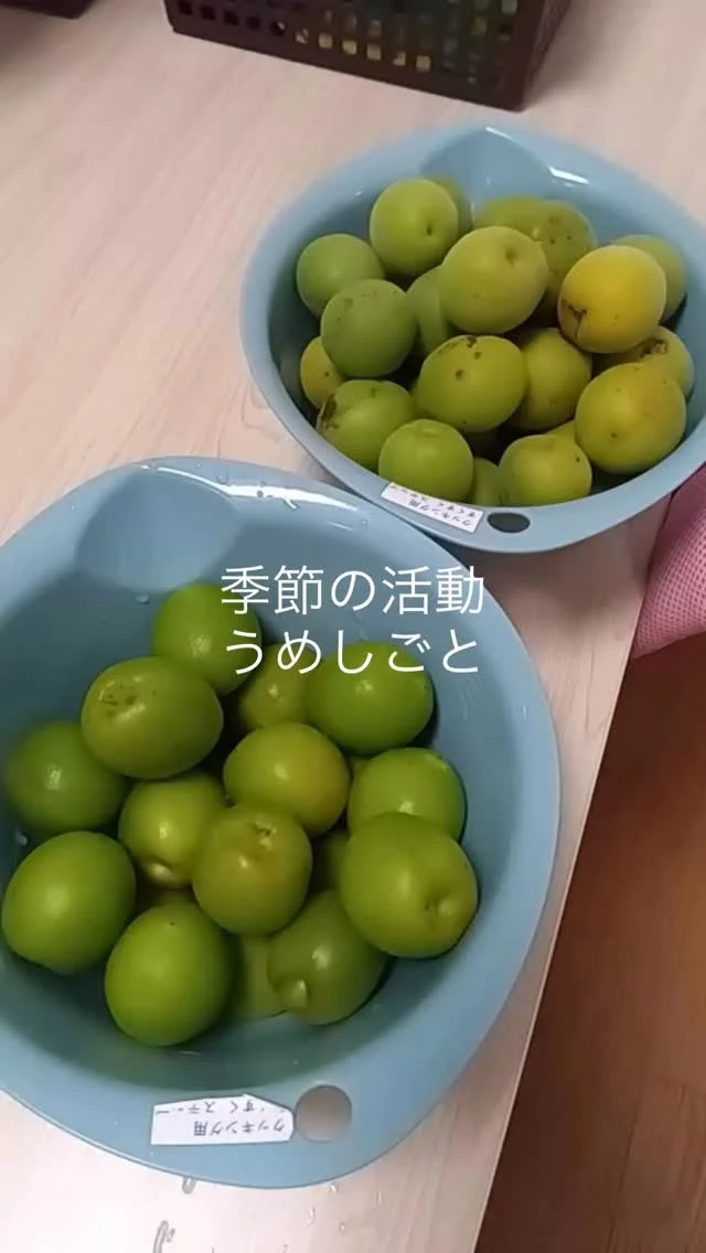#うめしごと 
梅シロップをみんなで作ったよ。
美味しくなぁれ😋

#ちょっとワイルド
#すくすくハウス 
#医療的ケア児 
#楽しみ