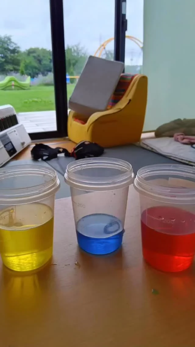 色水を使って三原色実験🧪🧫
カラフルに流れるお水と出来上がった色水、どんなふうに変わったかな？？
梅雨の日、お部屋の中で楽しみました。

#実験
#柏市